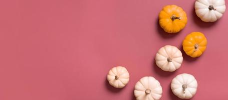 Banner with group of decorative pumpkins top view on pink background. Copy space. Autumn flat lay photo