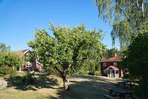 Swedish red and white traditional house in Smalland, White fence green garden blue sky photo