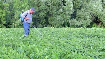 um agricultor aplicando inseticidas em sua plantação de batatas. o uso de produtos químicos na agricultura. luta contra infecções fúngicas e insetos. um homem pulveriza pesticidas em uma plantação de batatas com um pulverizador manual. video