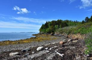 Scenic Rural Rugged Seashore Along Coastal Maine photo