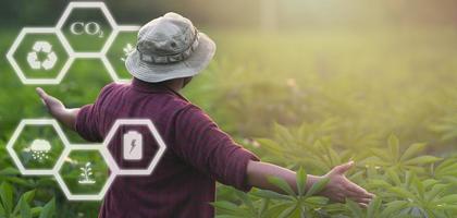 The back of the farmer is spreading his arms at his cassava plantation and glow ecology icon with empty space. Agriculture and alternative energy concepts photo