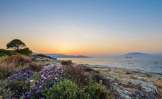 A carpet of blooming flowers and thrift on cliffs of tropical wild beach with lonely tree and boat. Sunset view in Zakynthos island, Greece
