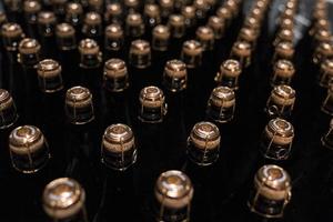 Sealed wine bottles arranged in storage container during wine making at winery photo