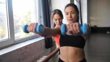 Fitness-Mädchen motivieren sich gegenseitig beim Training video