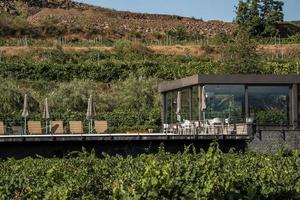 Wine tasting hotel amidst grapevines growing in vineyard on sunny day photo