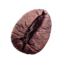 Roasted coffee bean isolated on white background with clipping path photo