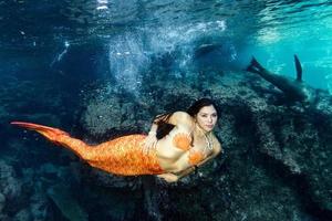 sirena nadando bajo el agua en el mar azul profundo con una foca foto