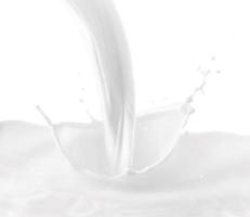 splashing milk on a white background photo