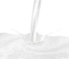 salpicaduras de leche sobre un fondo blanco foto