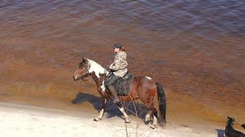 verbazingwekkend schot van paard rijden groep in de rivier- video