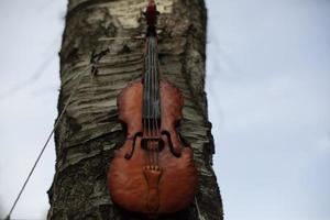 Violin on wood. Stringed musical instrument. Details of music festival. photo