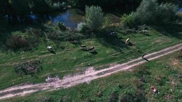 aereo Visualizza di vecchio nazione strada nel Ucraina video