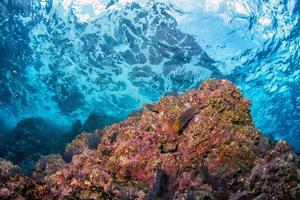 underwater waves on the reef photo