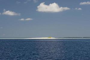 maldives tropical paradise beach crystal water coconut tree island photo