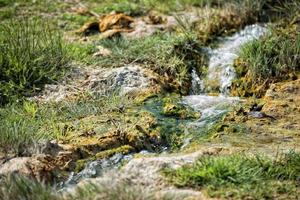 bagno vignoni old pool photo