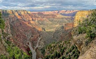 Grand Canyon view panorama from north rim photo