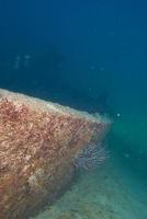 Ship Wreck photo