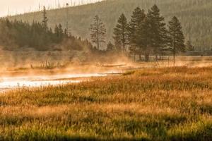 golden sunrise in Yellowstone river photo