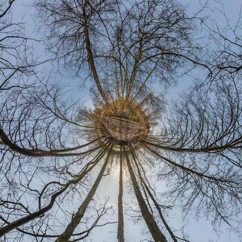 autumn tiny planet transformation of spherical panorama 360 degrees. Spherical abstract aerial view in forest with clumsy branches. Curvature of space. photo
