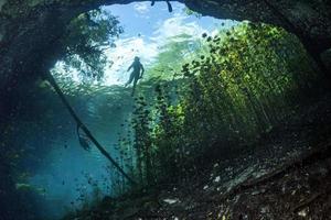 Cave diving in mexican cenotes photo