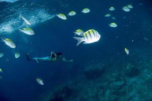 Mermaid swimming underwater in the deep blue sea photo