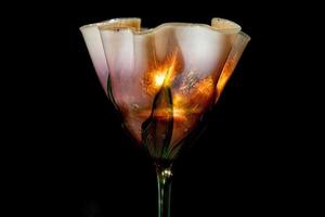 american liberty style old drinking glass isolated on black photo
