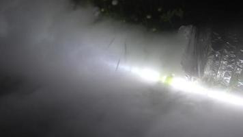 A walk through the mist in the woods at night video