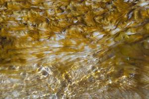 yellowstone hot springs natural background photo