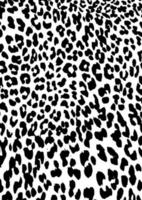 Leopard skin pattern vector illustration