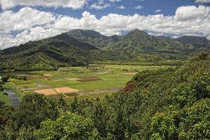 hawaii kauai fields photo