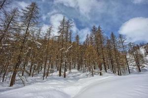 mountain landscape on sunny winter day photo