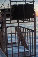 Shark cage to observe great white photo