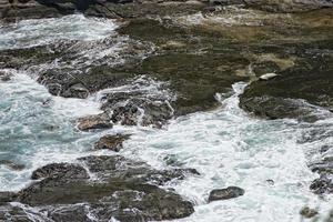 seal relaxing on rocks in hawaii kauai island photo