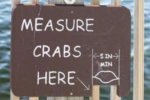 Measure crabs here sign photo