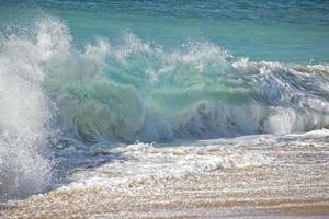 pacific ocean waves on the shore in Hawaii photo