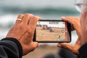 photographer taking picture of sea lion photo