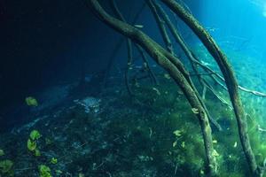 buceo en cuevas en cenotes mexicanos foto