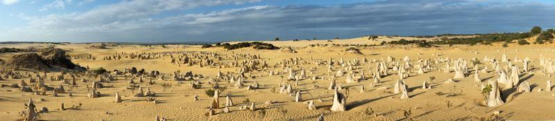 pinnacles park in west australia photo