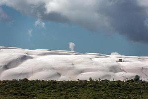 australia sand dunes into the bush photo