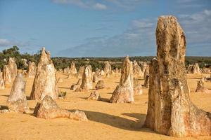 parque de los pináculos en el oeste de australia foto