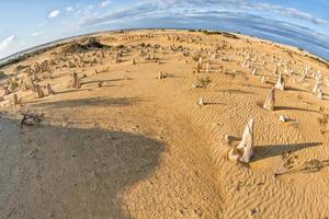 pinnacles park in west australia photo