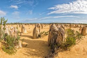 pinnacles park in west australia photo