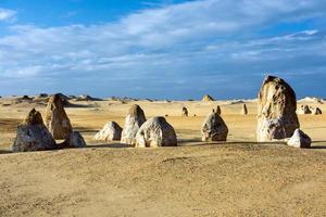 pinnacles park desert view in west australia photo