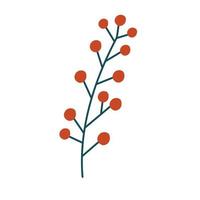 Spruce twig, berries and cones. Winter plants. Christmas foliage twigs branches red berries. Pine, spruce, fir tree branches and cones, rowan, rosehip berries. Nature botanical elements. Vector