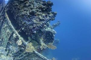 umbria ship wreck in red sea photo