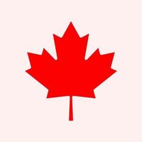 Maple leaf vector icon