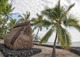 hawaiian hut on the beach photo