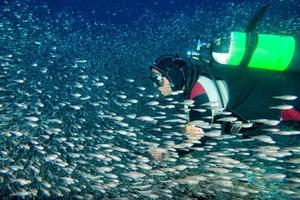 Inside a school of fish underwater photo