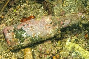 encrusted bottle on the sand bottom of the ocean photo