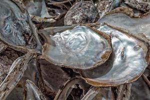 fábrica de perlas en el mar foto